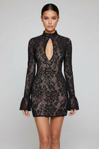 Elegant Lace Long Sleeve Dress