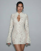 Elegant Lace Long Sleeve Dress